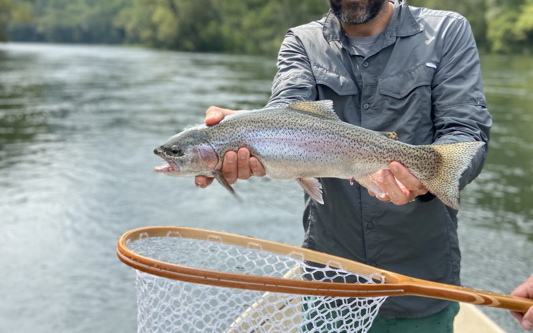 Chattanooga Fly Fishing Report September